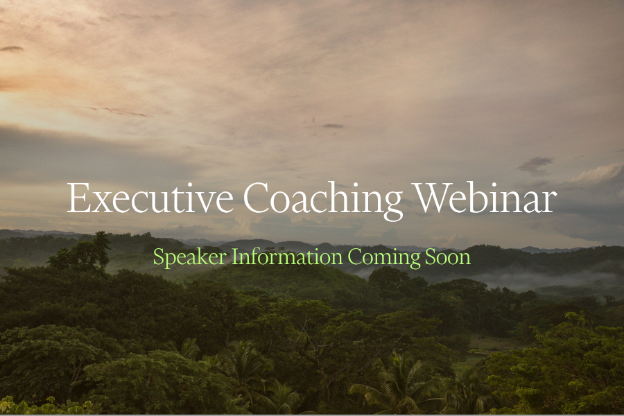 Executive Coaching Webinar