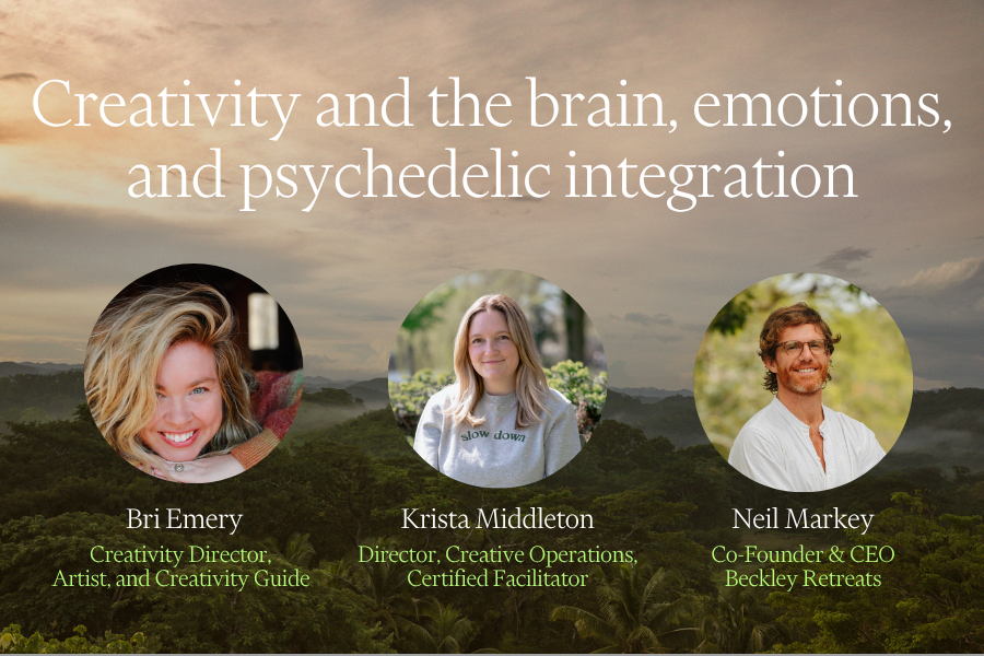 Creativity and the brain, emotions, and psychedelic&nbsp;integration