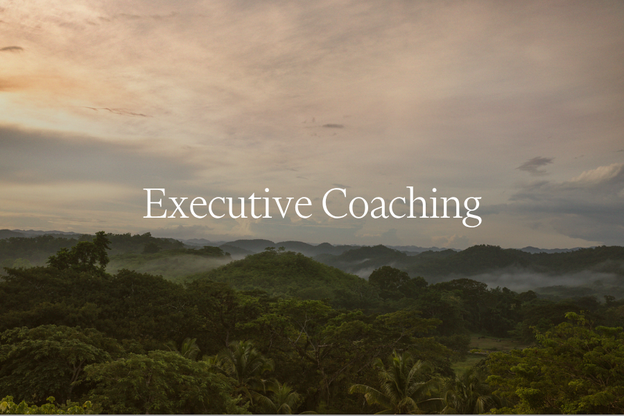 Executive Coaching Webinar