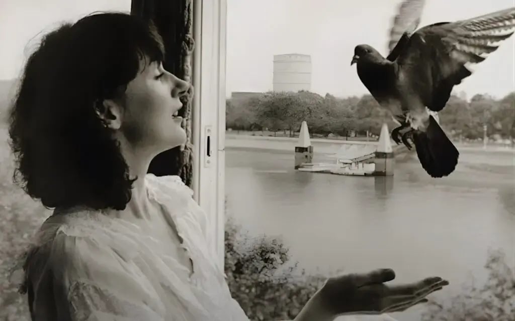 Amanda Feilding, co-founder of Beckley Retreats, representing the legacy of science-backed psychedelic therapy, consciousness expansion, and safe psilocybin retreat experiences.