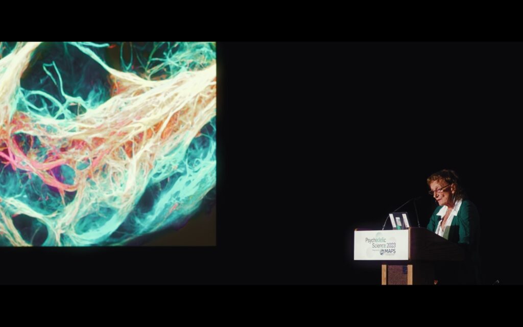 Amanda Fielding speaking at a conference. 