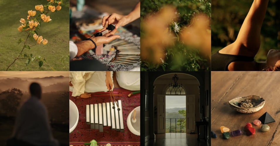 Psychedelic Travel Experiences Are More Popular Than Ever