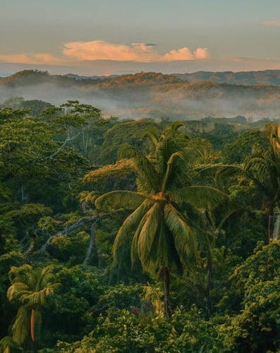 The Beckley Retreat: a trip of a lifetime?