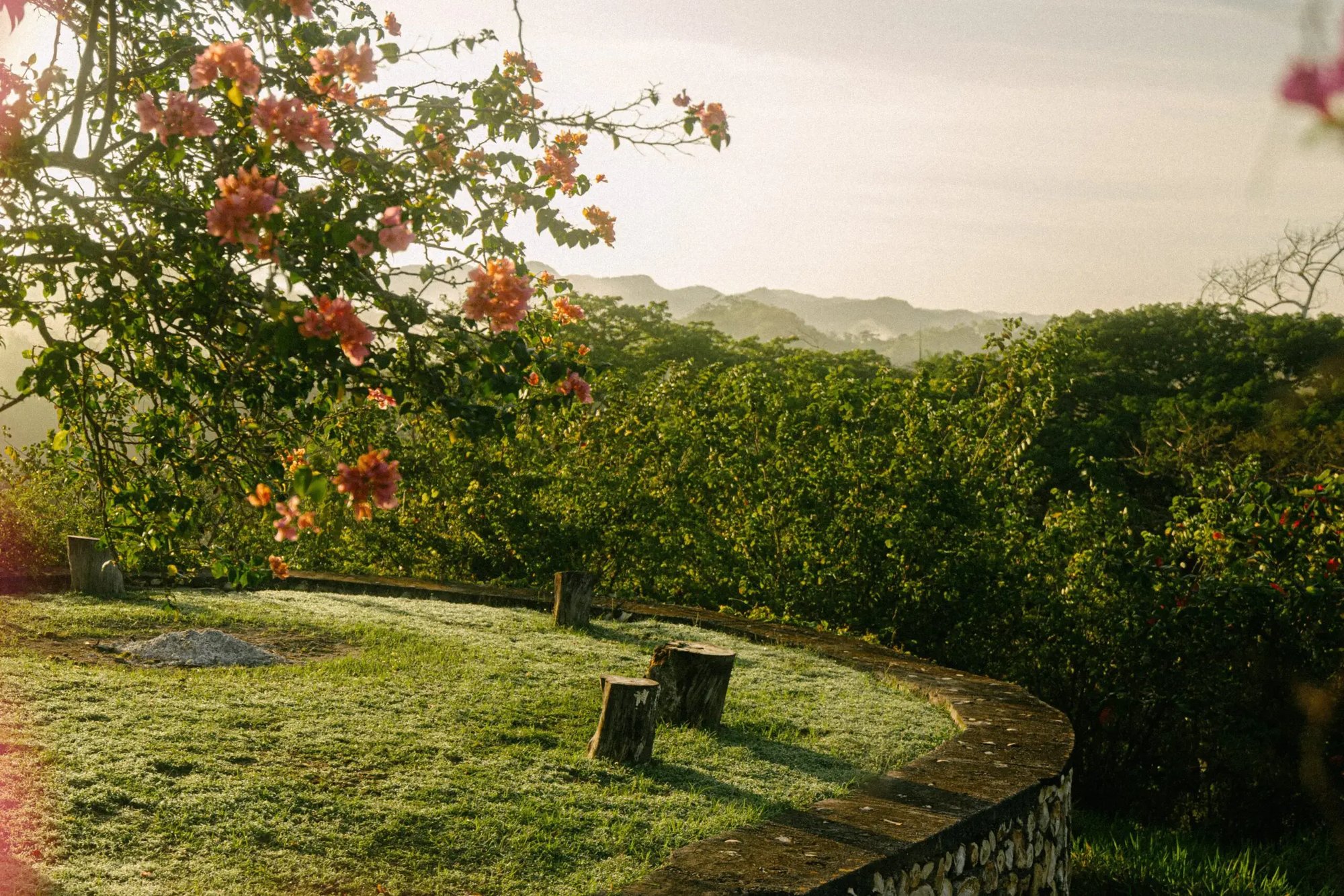 Veterans-Program-2-2-scaled