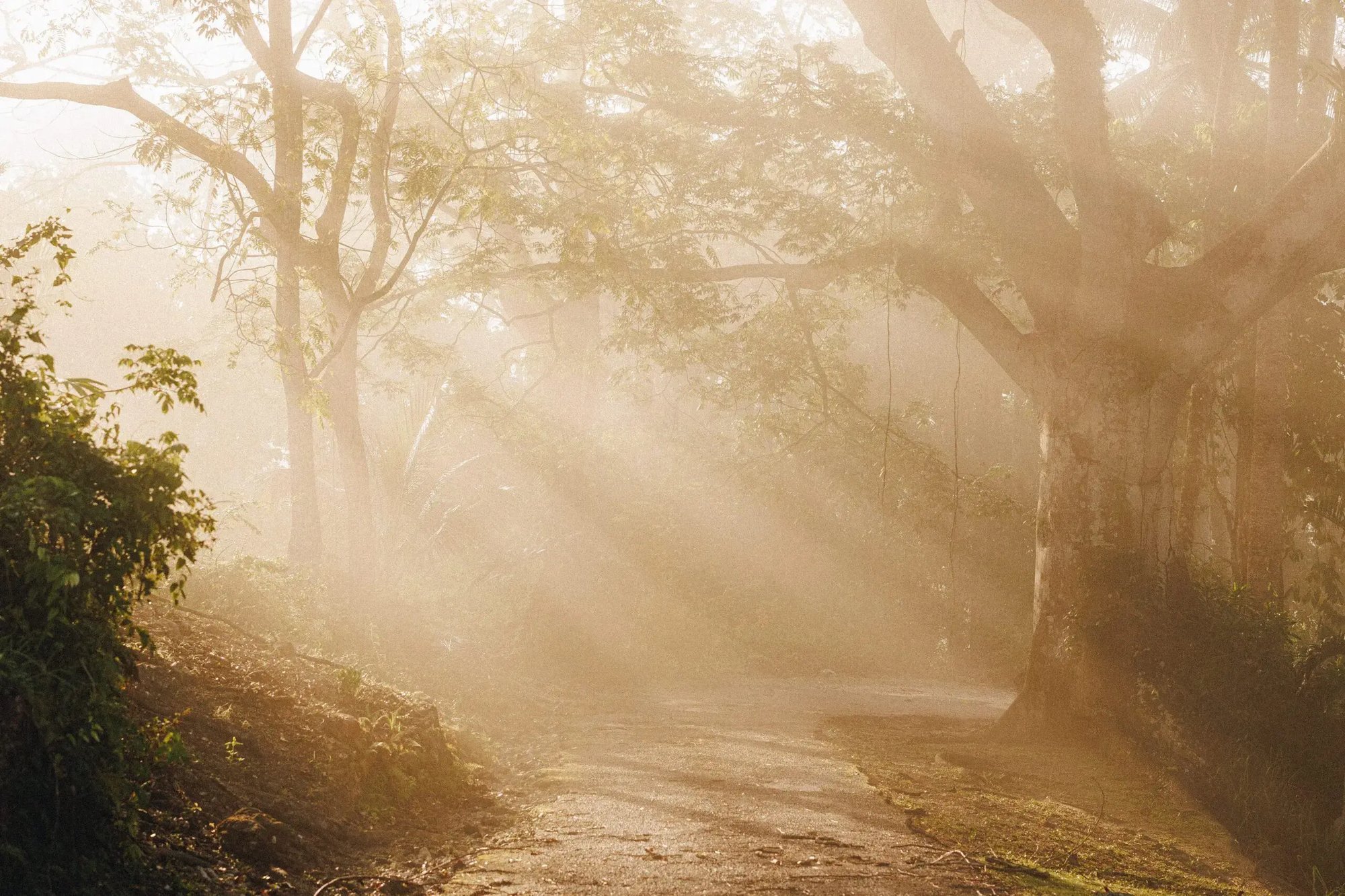 Womens-Program-1-2-scaled