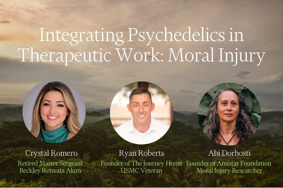 Integrating Psychedelics in Therapeutic Work: Moral Injury and Reconnecting with Self