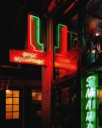  Illustration: Matthew Johnston Hedonism, healing and credible science – where next for drug tourism?