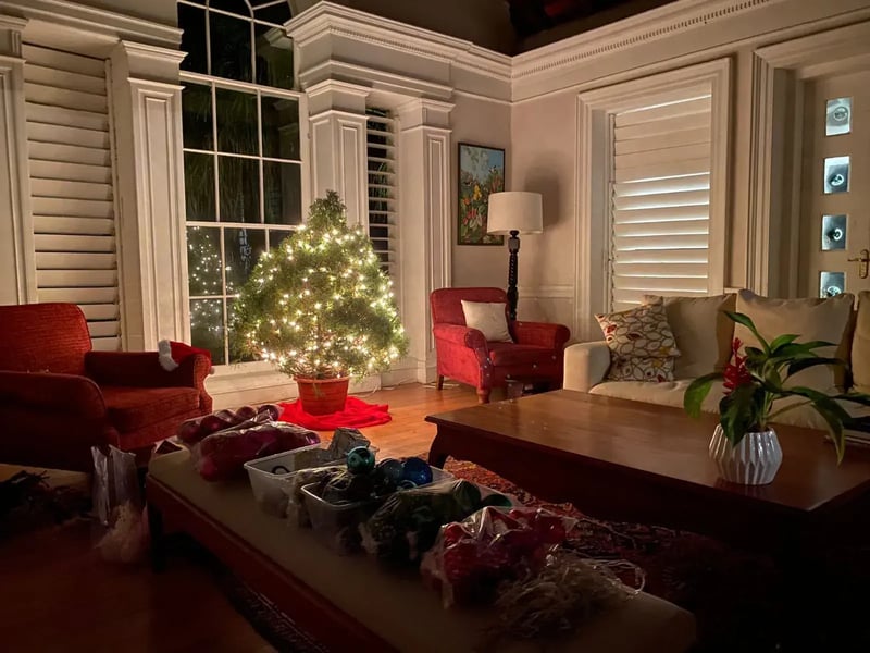 The living room