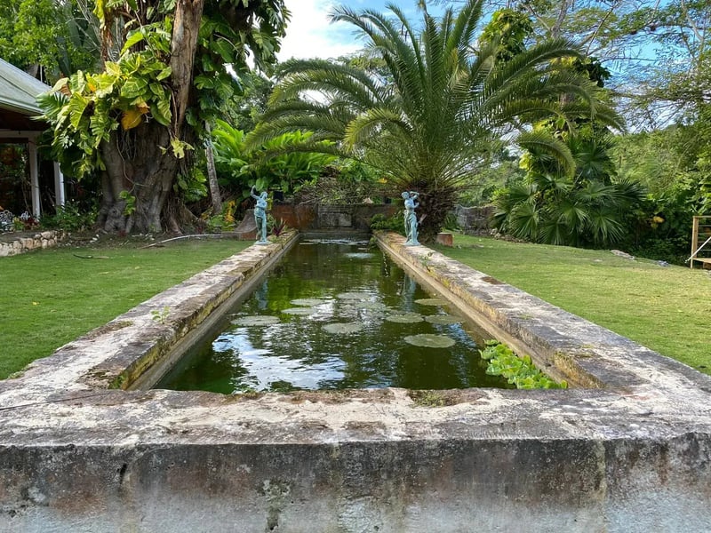 The long pool in the garden