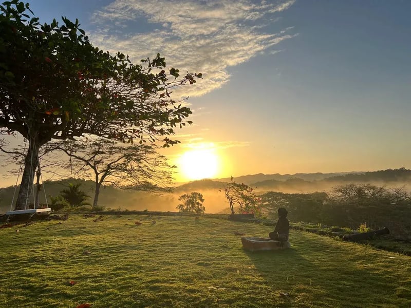 Sunrise over the lawn