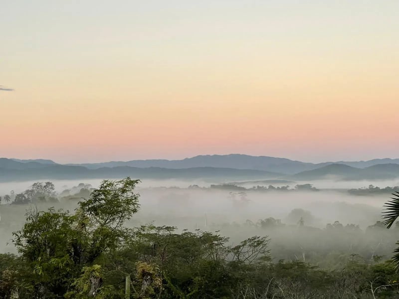 Mist at first light