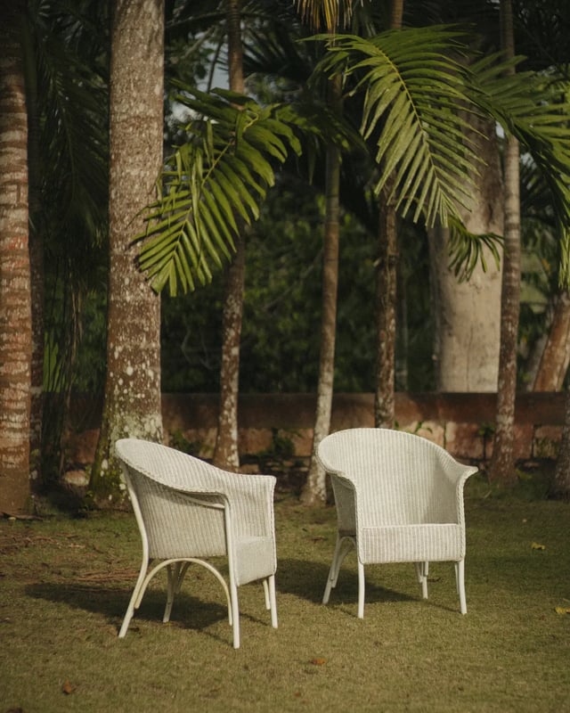 Chairs under the palms