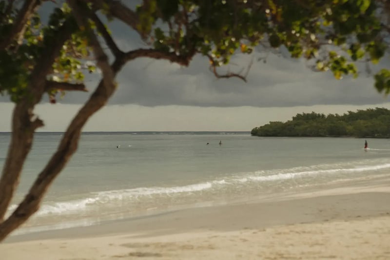 The private beach