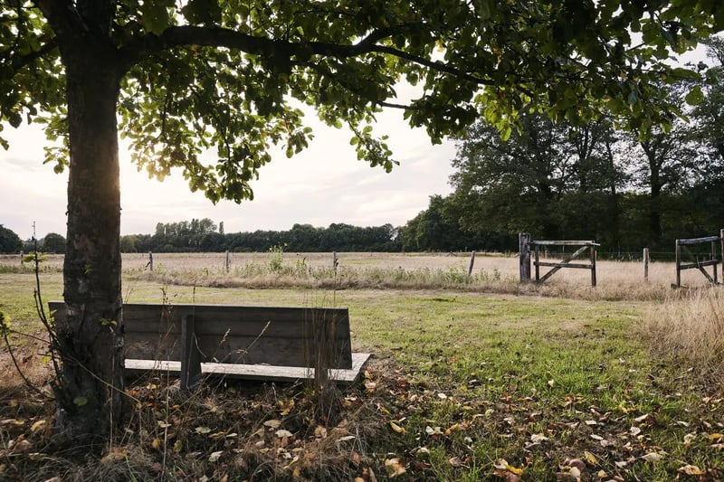 A bench under the tree