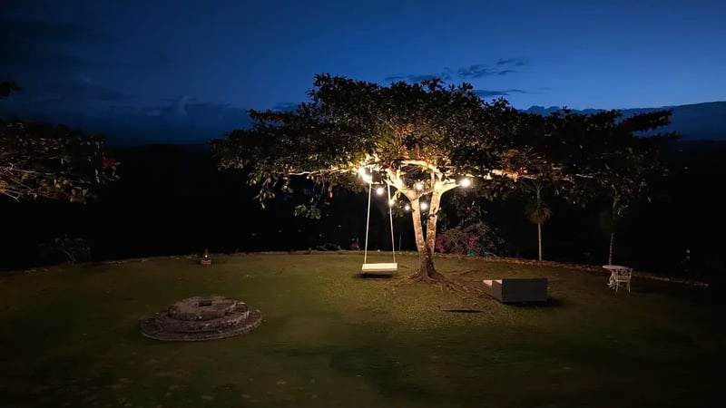 The lawn at Good Hope at night under a lit tree