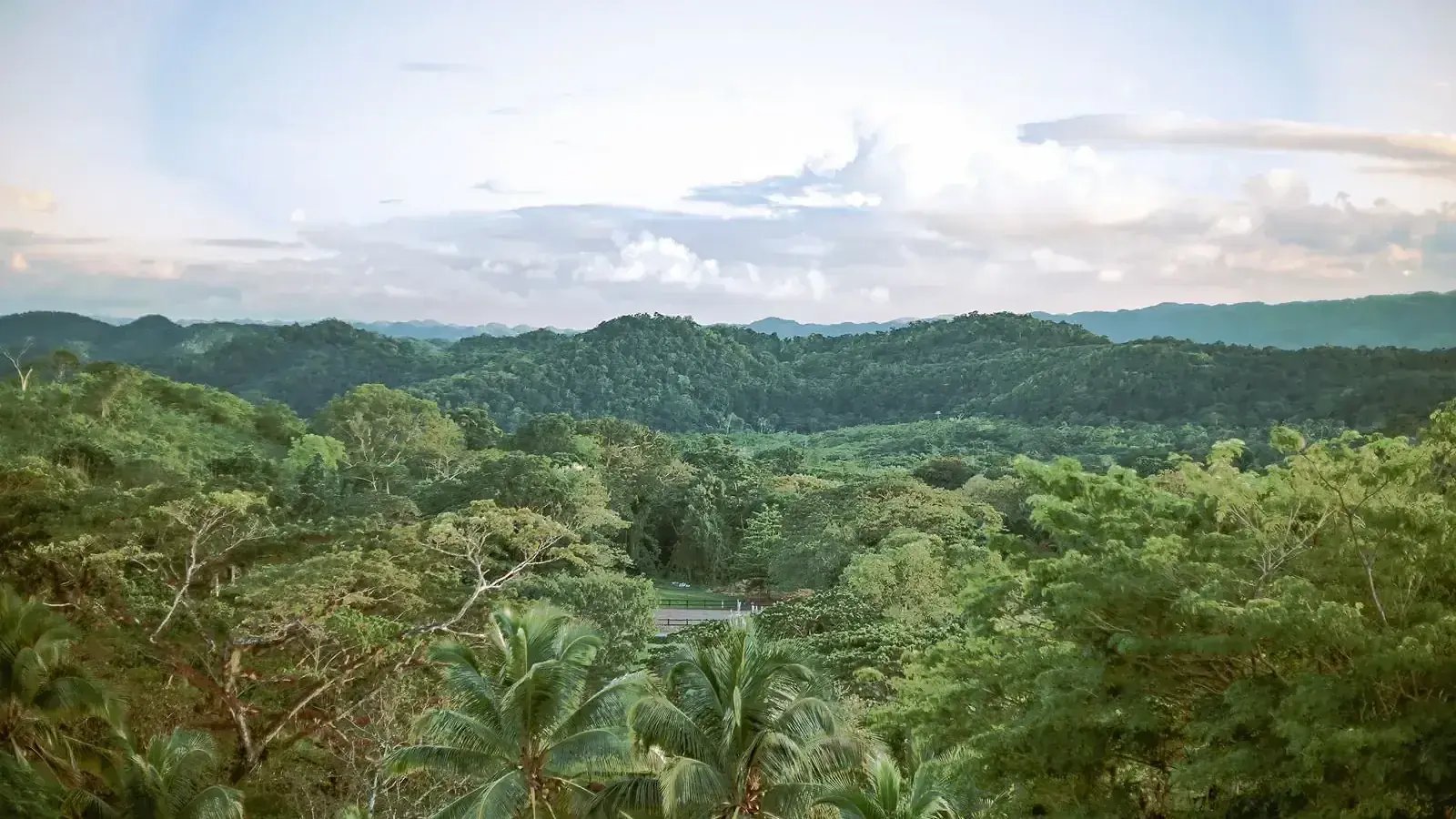 Forested hills of Cockpit Country seen from Good Hope