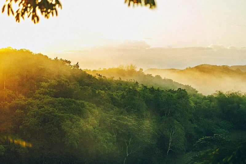 Sunrise over the ridge at Good Hope