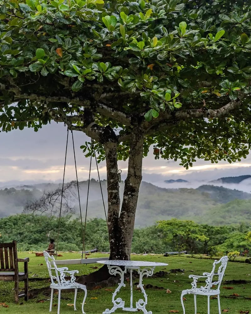 A swing under a tree looking out over the hills