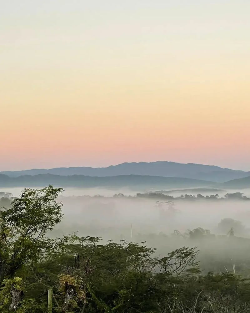 Mist over the hills at dawn