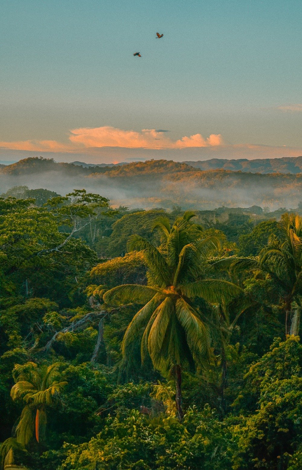 GoodHope_Credit_@Soulfocus_Media-38