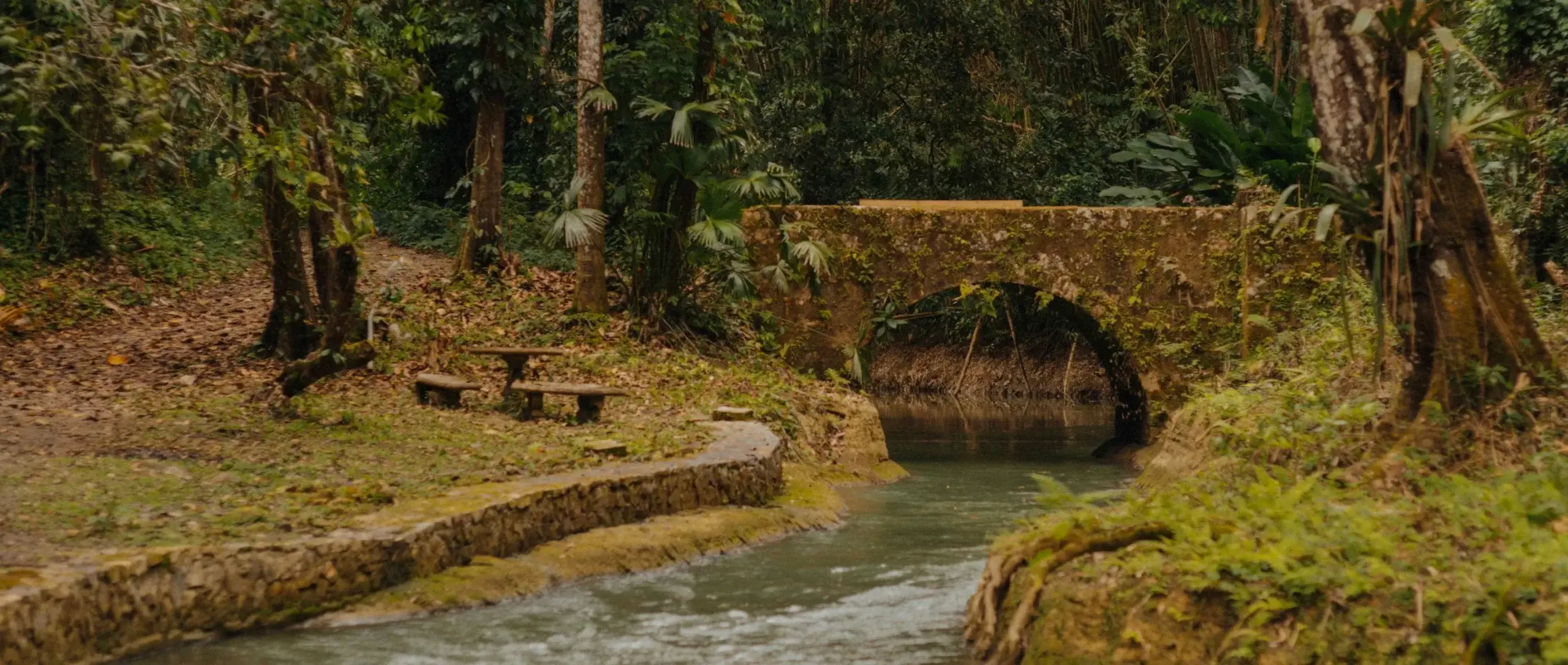 Tropical river at Beckley Retreats