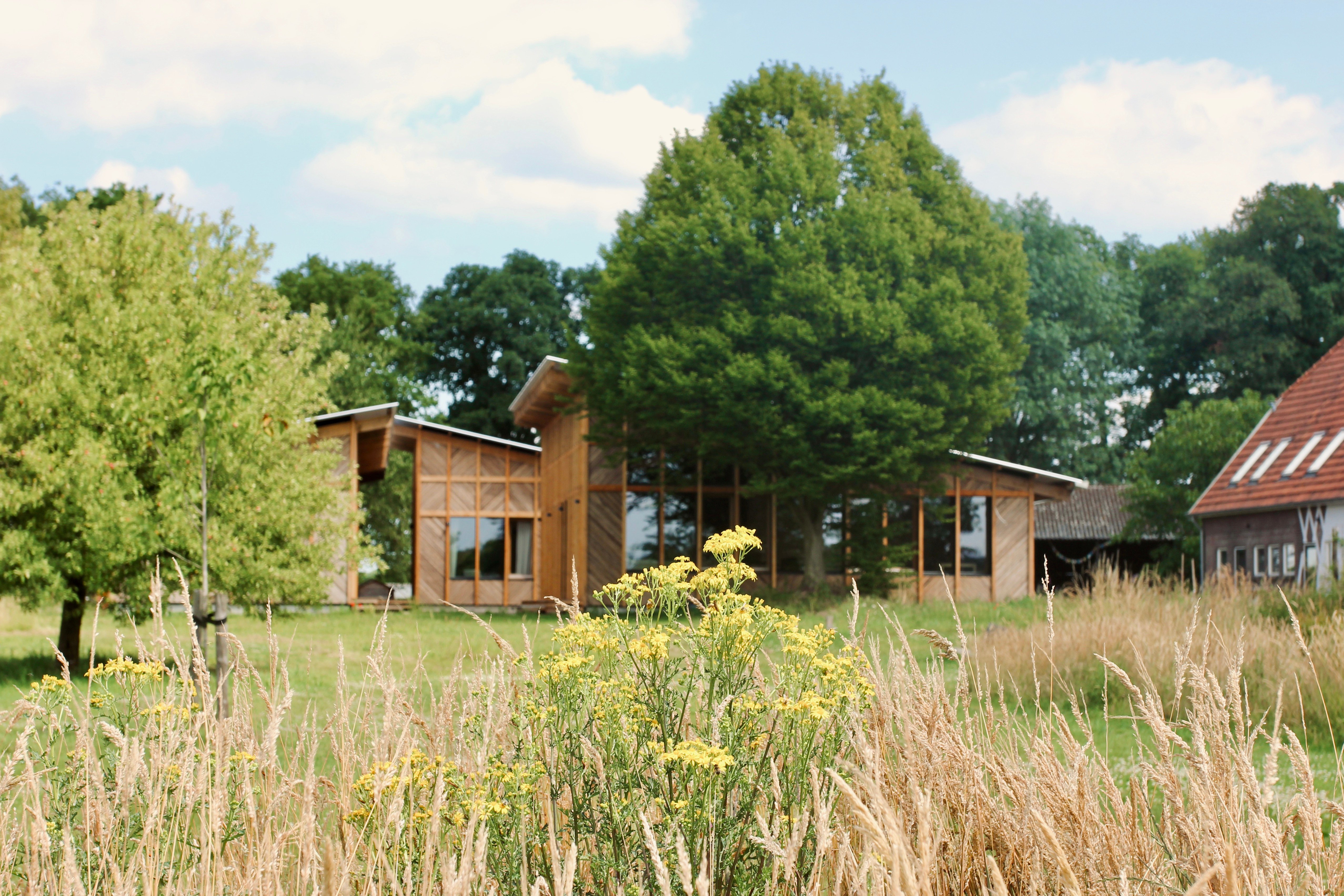image for 