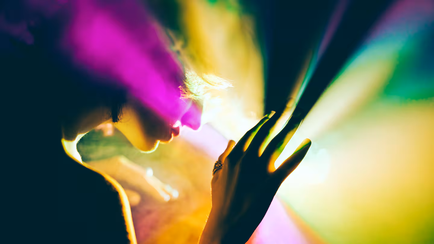 I went on a posh magic mushroom retreat. Here’s what I learnt