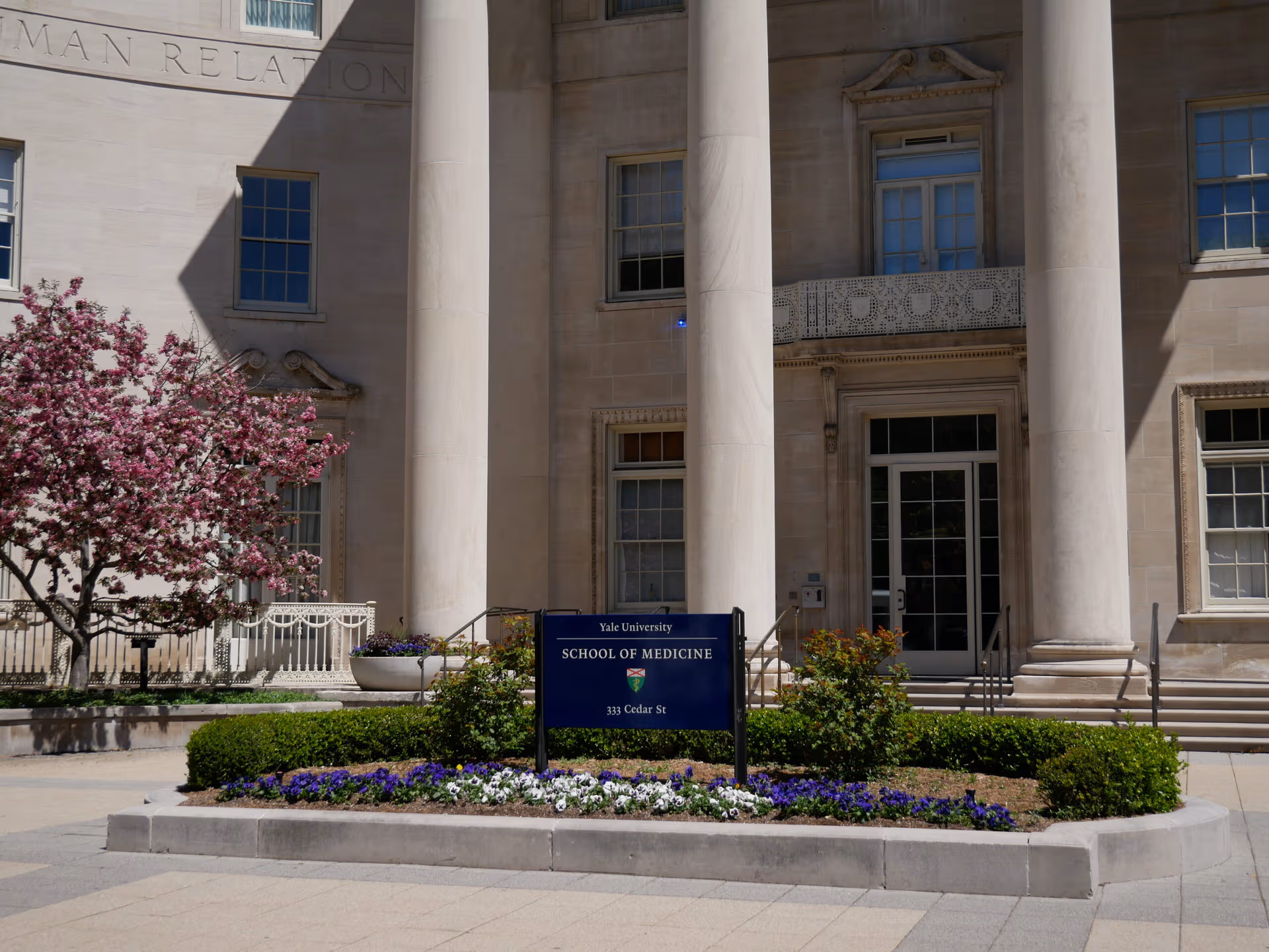 Mind-altering remedies: inside the new wave of psychedelic research