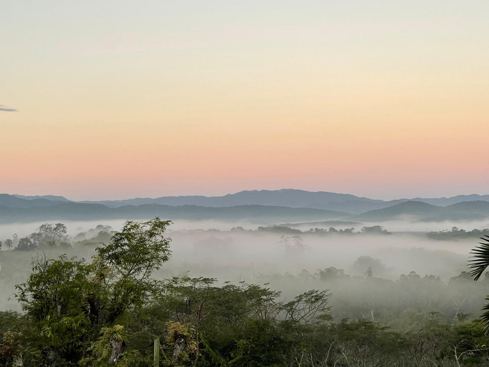 Dawn mist over the valley at Good Hope, Jamaica