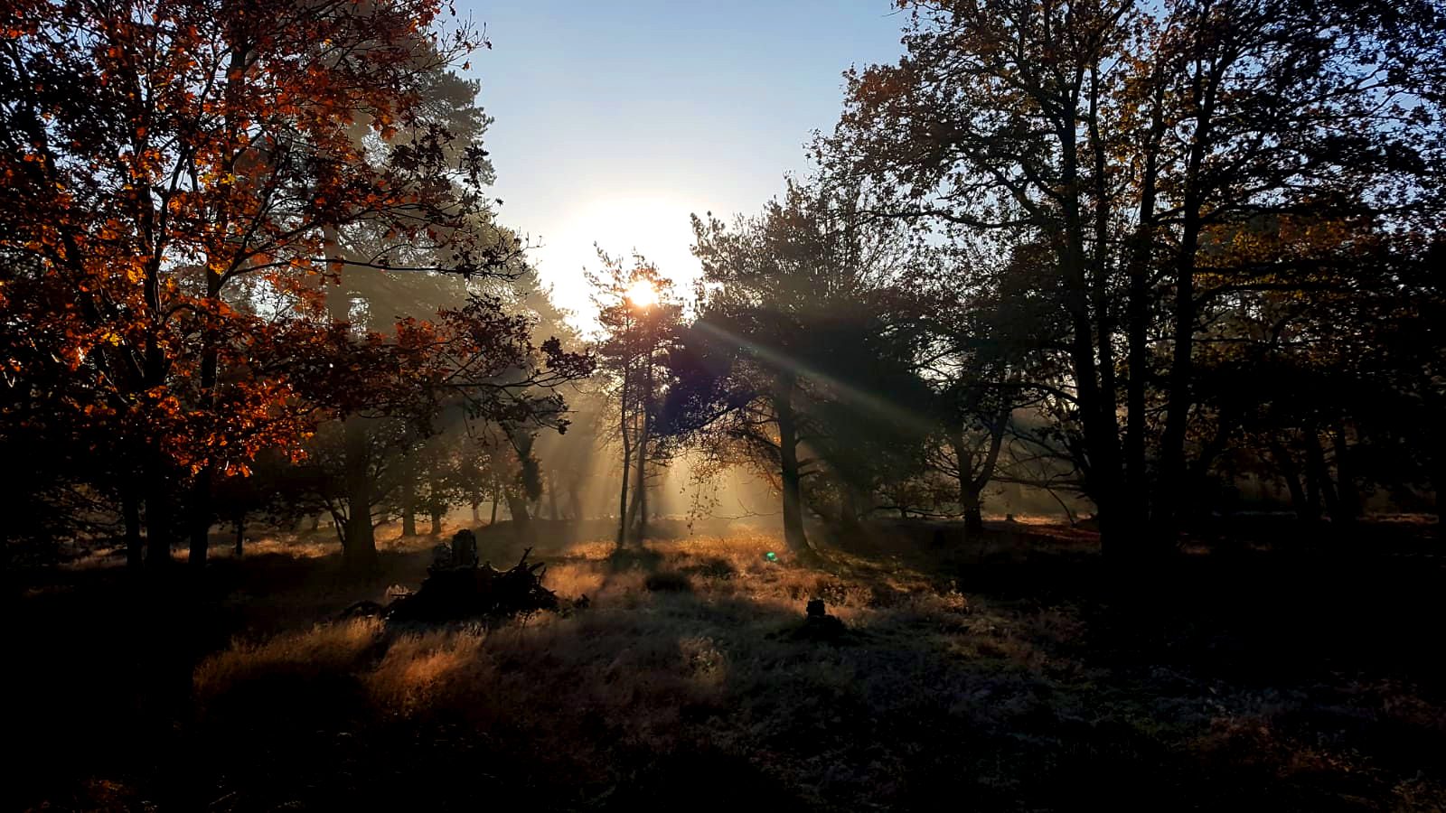 Netherlands – 29 Oct – 3 Nov 2024