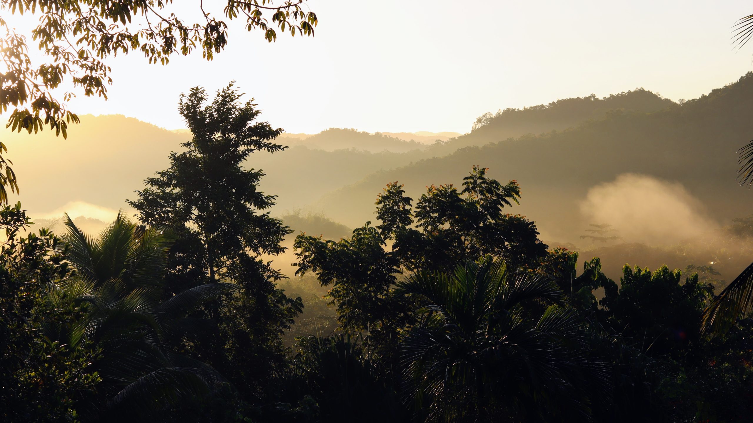Jamaica – 2 – 7 Dec 2024