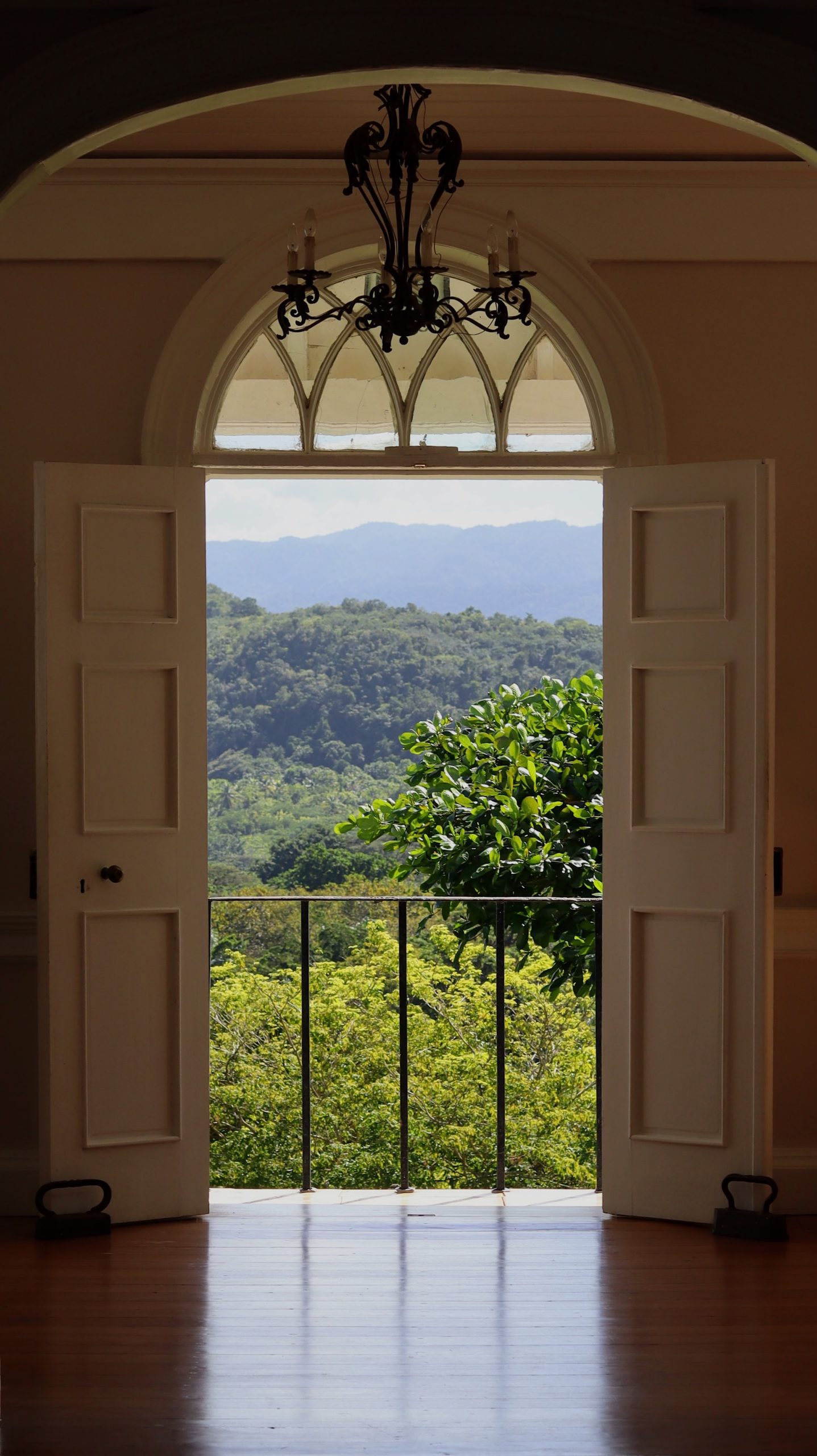 Jamaica Psilocybin Retreat February 2024 Beckley Retreats