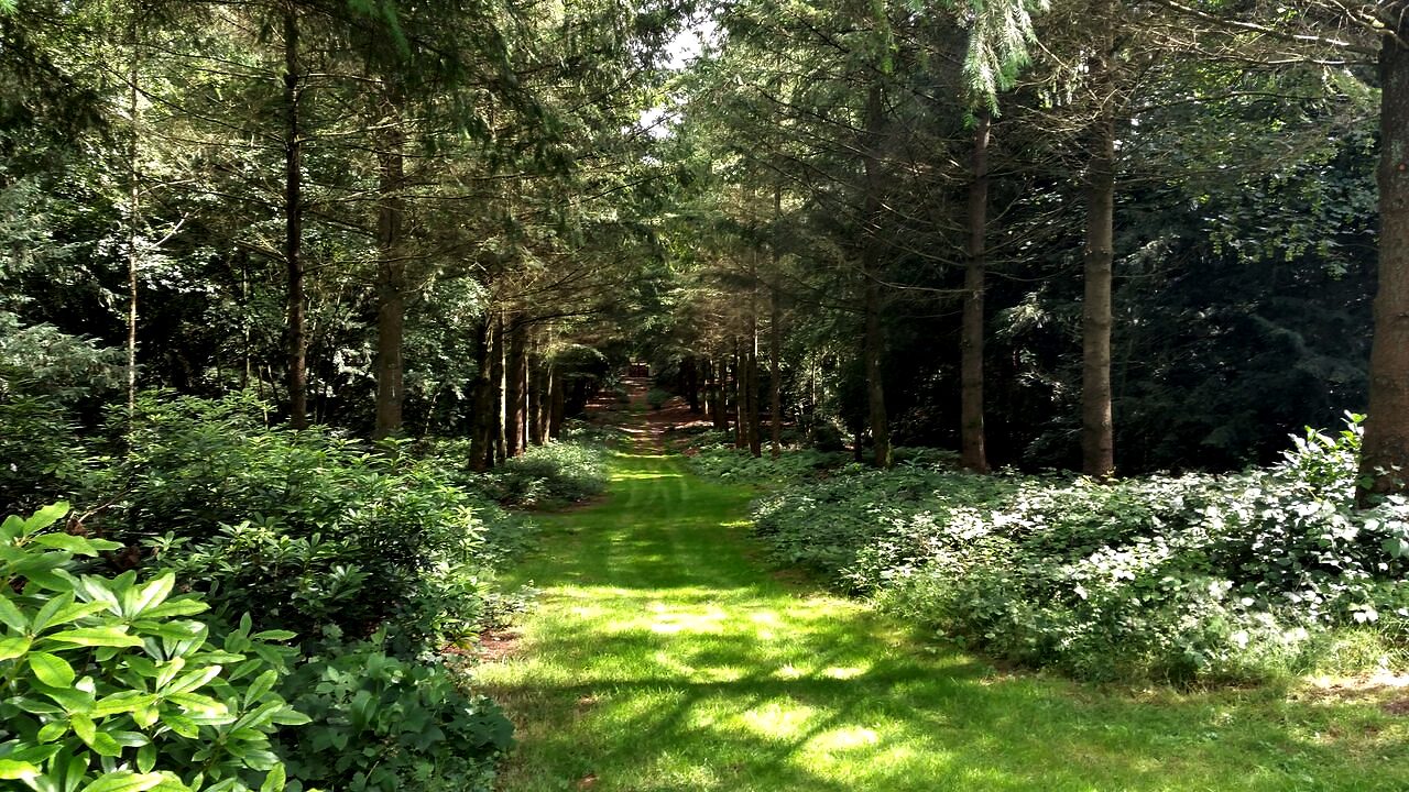 Netherlands Psilocybin Retreat February 2024 Beckley Retreats
